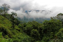 N.P. Cayambe-Coca — горы, реки, водопады. Дорога в облаках