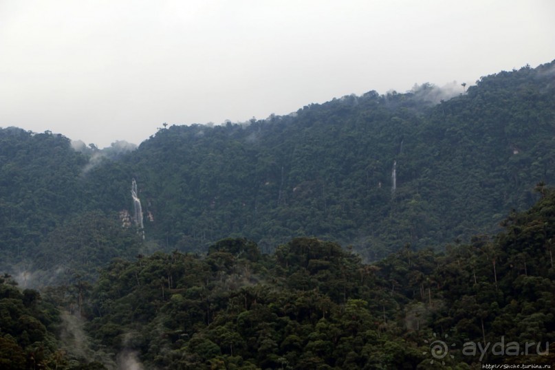 N.P. Cayambe-Coca — горы, реки, водопады. Дорога в облаках