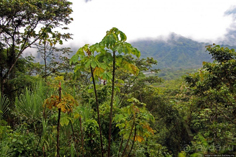 N.P. Cayambe-Coca — горы, реки, водопады. Дорога в облаках