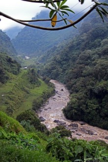 N.P. Cayambe-Coca — горы, реки, водопады. Дорога в облаках