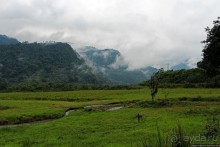 N.P. Cayambe-Coca — горы, реки, водопады. Дорога в облаках