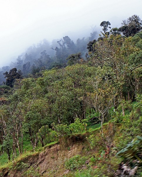N.P. Cayambe-Coca — горы, реки, водопады. Дорога в облаках