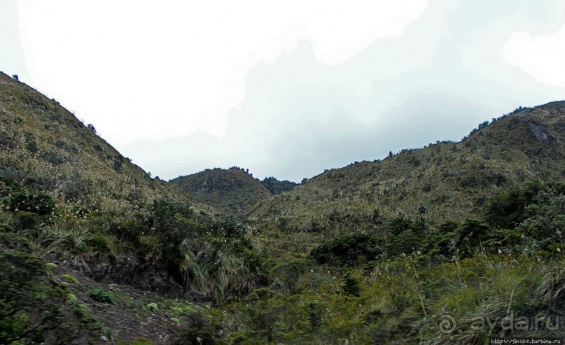 N.P. Cayambe-Coca — горы, реки, водопады. Дорога в облаках