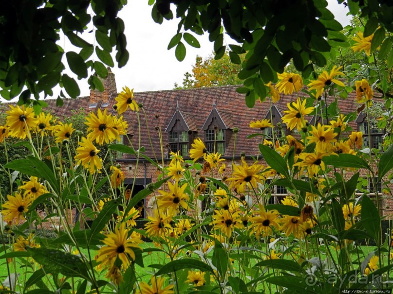 Фламандский «Бегинаж» в Левене (объект ЮНЕСКО номер 855-011)