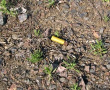 Живописный гранитный карьер у села Чаусово