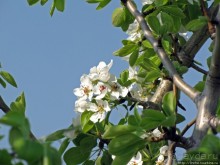 Живописный гранитный карьер у села Чаусово