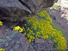 Живописный гранитный карьер у села Чаусово