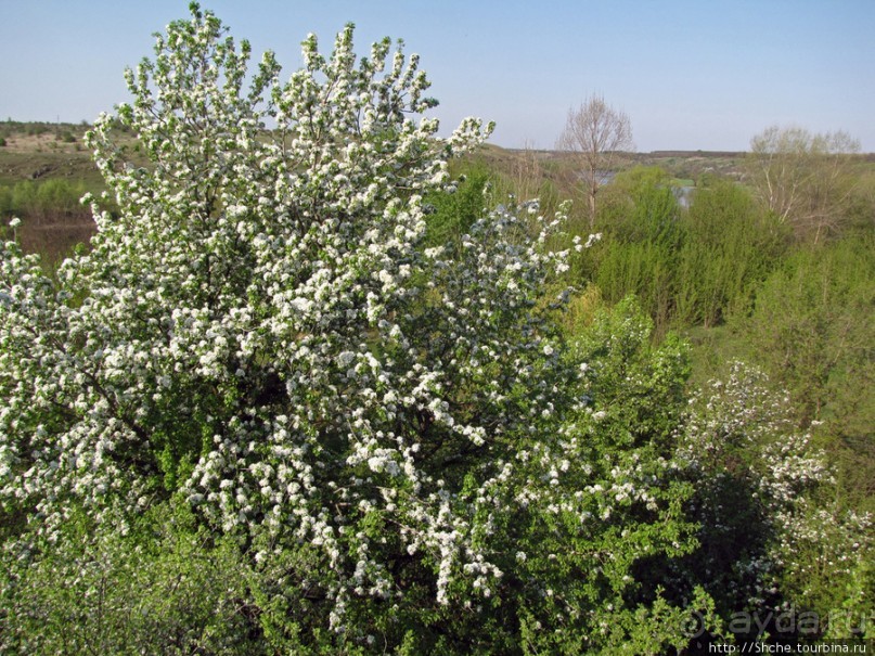 Живописный гранитный карьер у села Чаусово