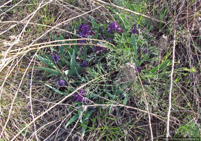 Живописный гранитный карьер у села Чаусово