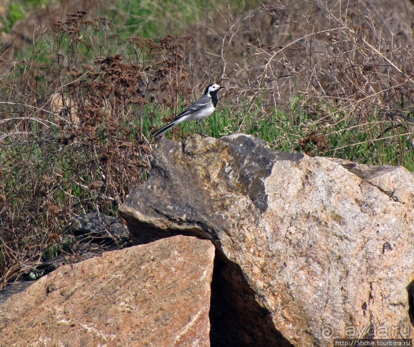 Живописный гранитный карьер у села Чаусово