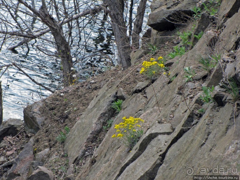Живописный гранитный карьер у села Чаусово