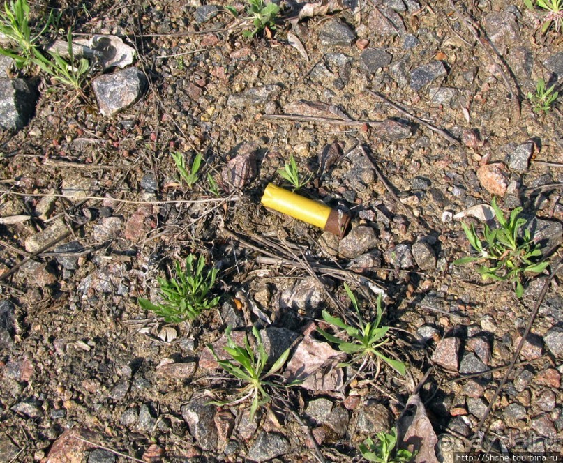 Живописный гранитный карьер у села Чаусово