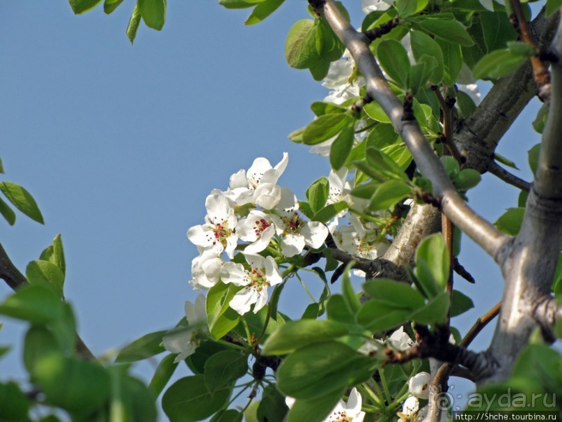 Живописный гранитный карьер у села Чаусово