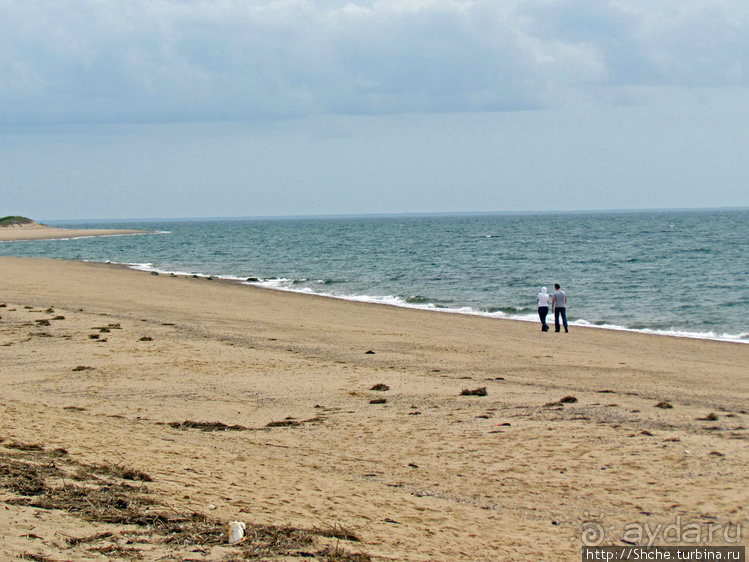 Бескрайние песчаные пляжи Кейп-Кода