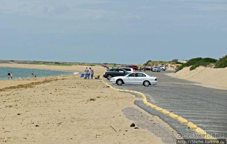 Бескрайние песчаные пляжи Кейп-Кода