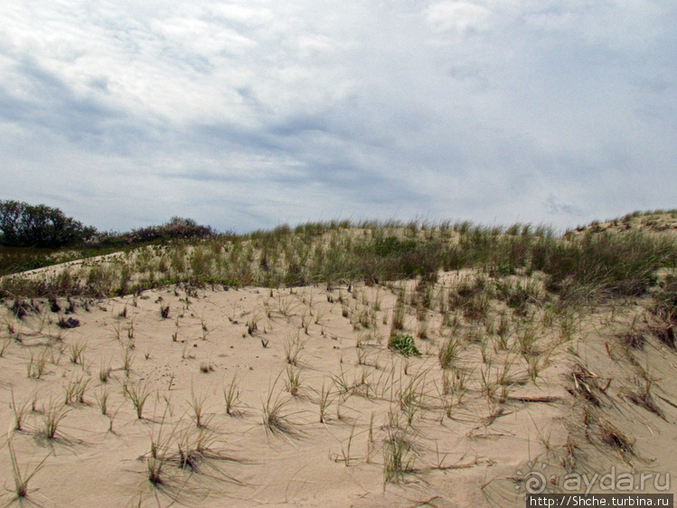 Бескрайние песчаные пляжи Кейп-Кода