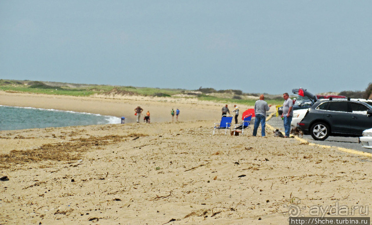 Бескрайние песчаные пляжи Кейп-Кода