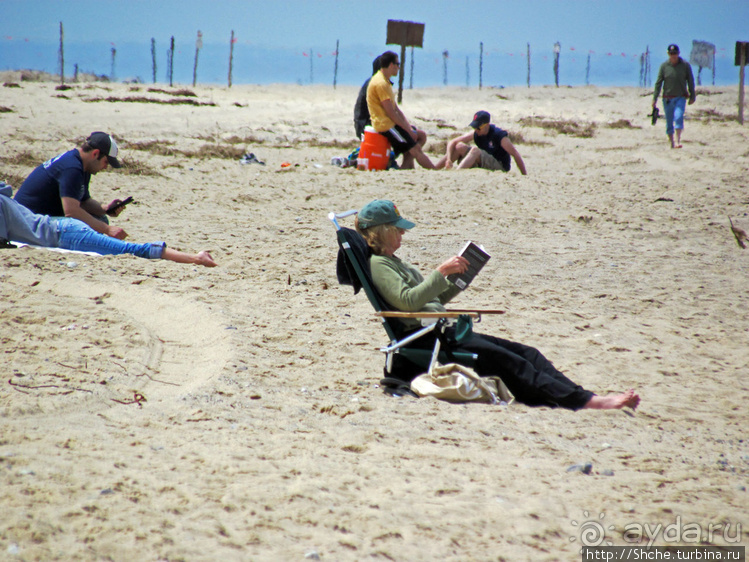 Бескрайние песчаные пляжи Кейп-Кода