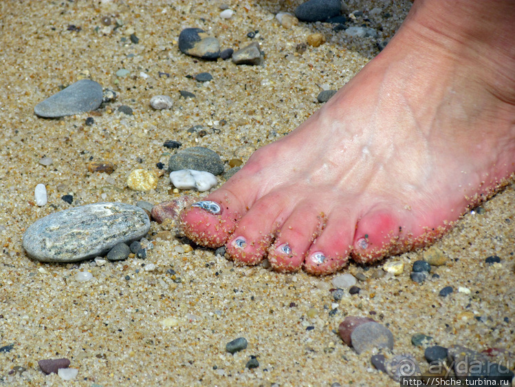 Бескрайние песчаные пляжи Кейп-Кода