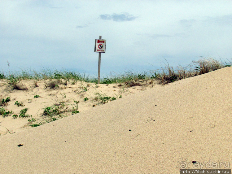 Бескрайние песчаные пляжи Кейп-Кода