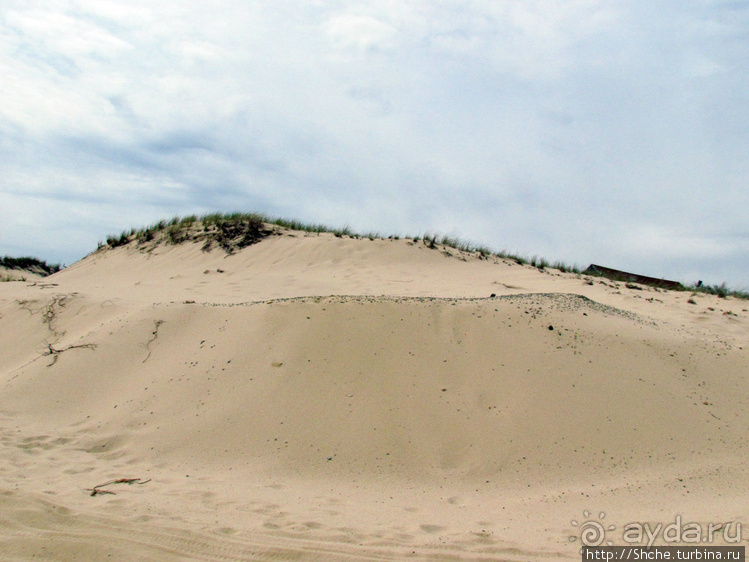 Бескрайние песчаные пляжи Кейп-Кода