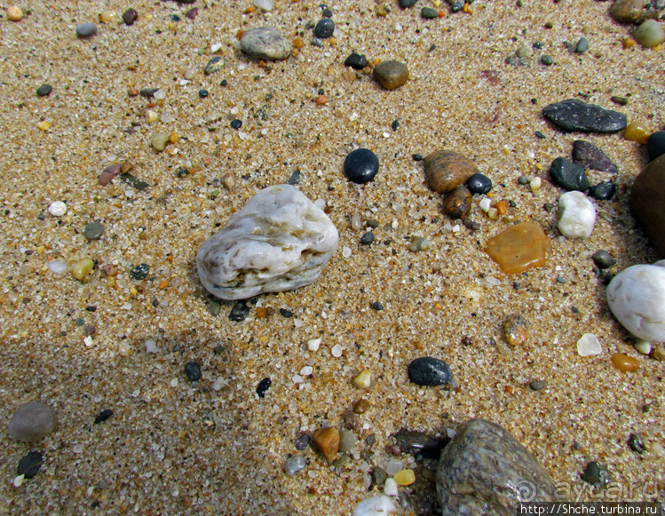 Бескрайние песчаные пляжи Кейп-Кода