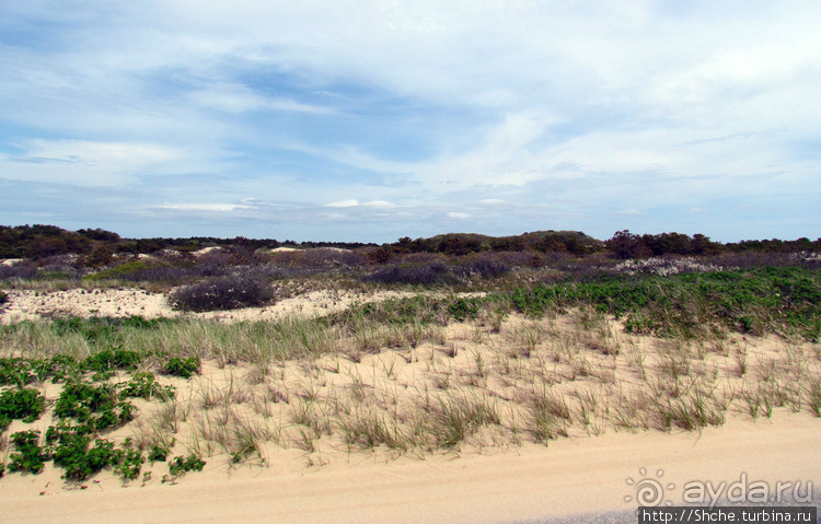 Бескрайние песчаные пляжи Кейп-Кода