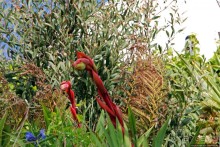 Пляж Havre Des Pas и другие берега столицы Джерси