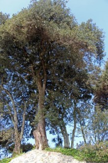 Пляж Havre Des Pas и другие берега столицы Джерси