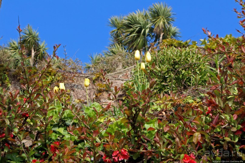 Пляж Havre Des Pas и другие берега столицы Джерси