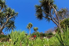 Пляж Havre Des Pas и другие берега столицы Джерси