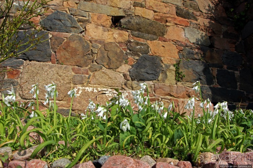 Пляж Havre Des Pas и другие берега столицы Джерси