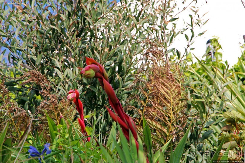 Пляж Havre Des Pas и другие берега столицы Джерси