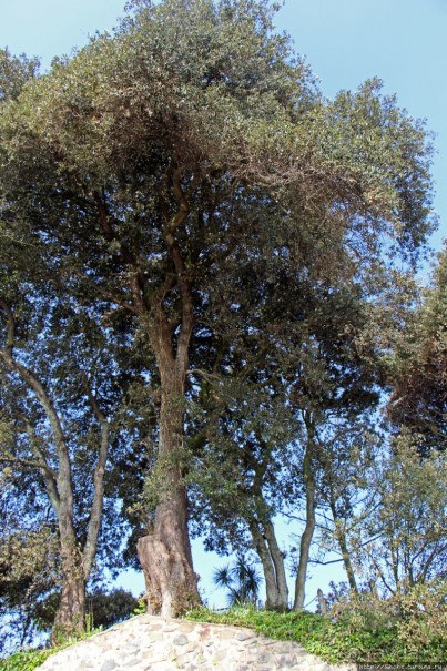 Пляж Havre Des Pas и другие берега столицы Джерси