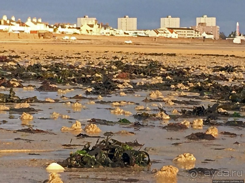 Пляж Havre Des Pas и другие берега столицы Джерси