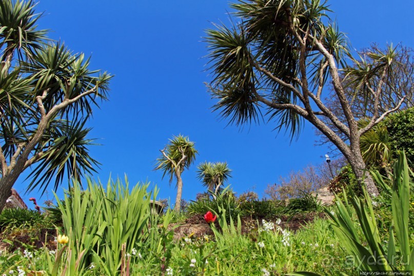 Пляж Havre Des Pas и другие берега столицы Джерси