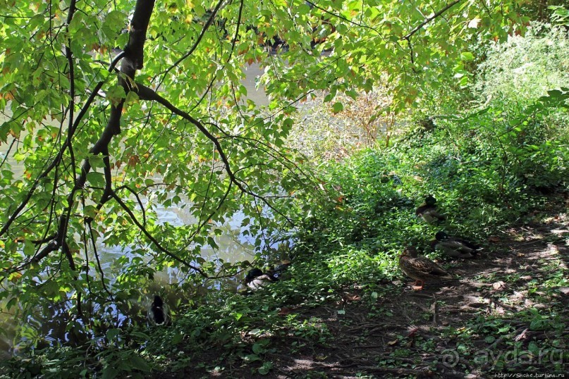 Игнорировать городской шум