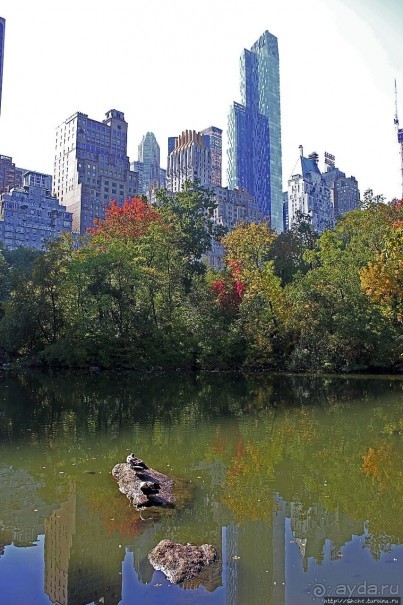 Игнорировать городской шум