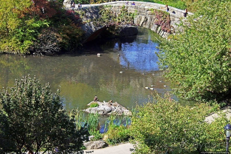 Игнорировать городской шум