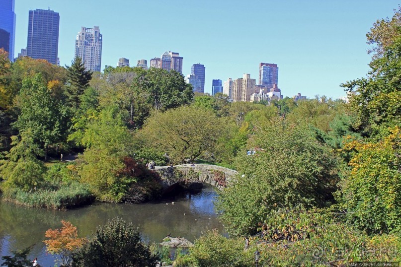 Игнорировать городской шум