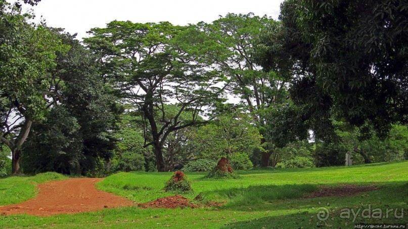 Многообразие Уганды, или все, что мы успели за восемь дней