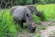 Многообразие Уганды, или все, что мы успели за восемь дней