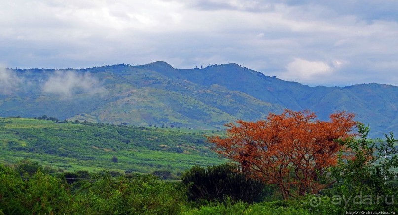 Многообразие Уганды, или все, что мы успели за восемь дней