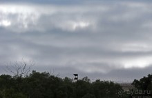 Многообразие Уганды, или все, что мы успели за восемь дней