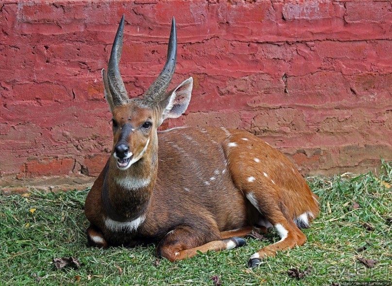 Многообразие Уганды, или все, что мы успели за восемь дней