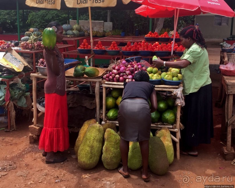 Многообразие Уганды, или все, что мы успели за восемь дней
