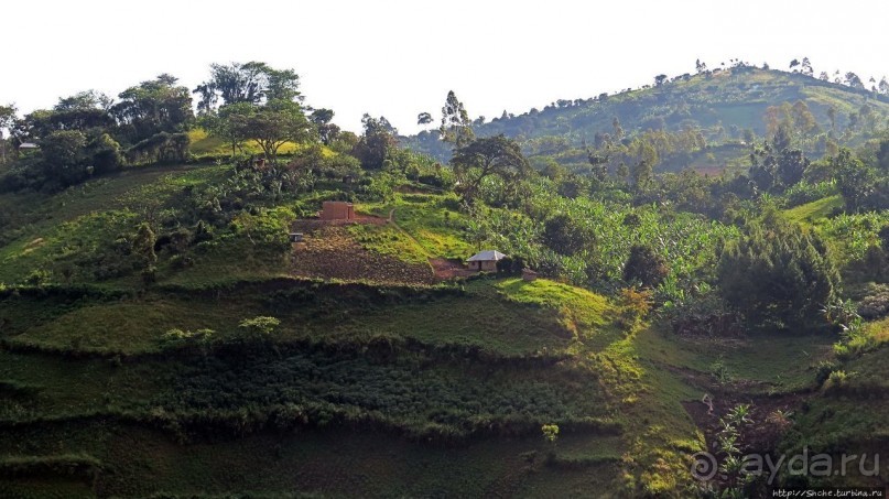 Многообразие Уганды, или все, что мы успели за восемь дней