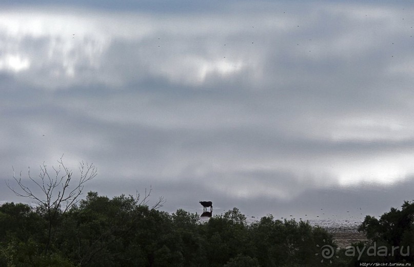 Многообразие Уганды, или все, что мы успели за восемь дней