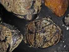 "То, к чему человечество еще не готово",- камни города Ика