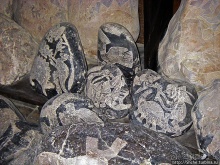 "То, к чему человечество еще не готово",- камни города Ика